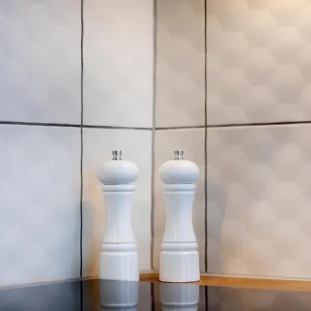 Brivibas House Design In City Center Aparthotel *