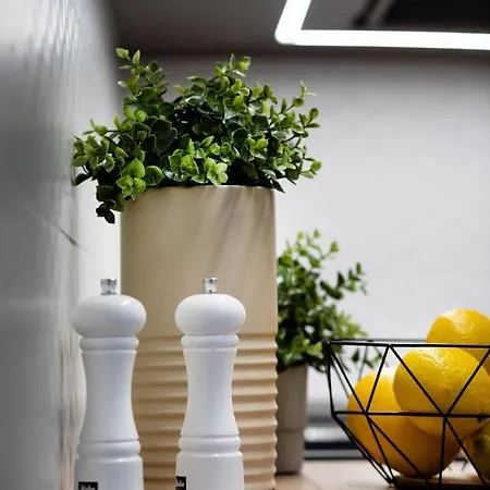 Brivibas House Design In City Center Riga