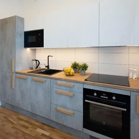 Brivibas House Design In City Center Aparthotel Riga