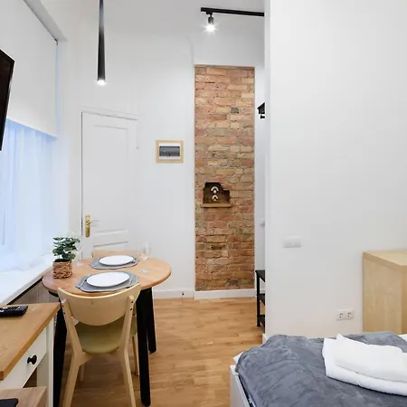 Brivibas House Design In City Center *